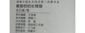 戴银铃的长臂猿优美句子,带银铃的长臂猿好词好句？