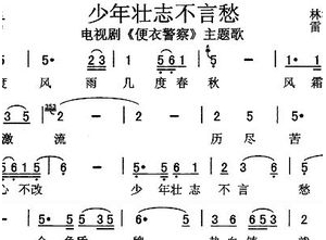 赞美少年壮志不言愁的句子,几度风雨几度愁出自哪首歌词？