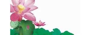 描绘荷花荷叶的短句,描写荷叶荷花的句子？