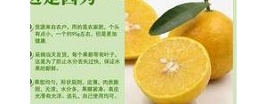 形容贡柑好吃的句子,人们对贡柑称赞的句子？