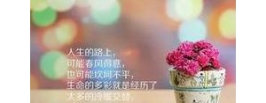 表达红酒的句子,形容“红酒”的唯美句子有哪些？