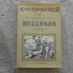 摘抄描写保尔的句子分析其形象,保尔人物形象摘抄及分析？