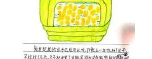 9岁男孩发朋友圈的句子,9岁儿子生日适合发朋友圈的句子？