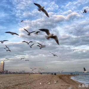 这十句教育名言说得真牛，听者都会竖起大拇指