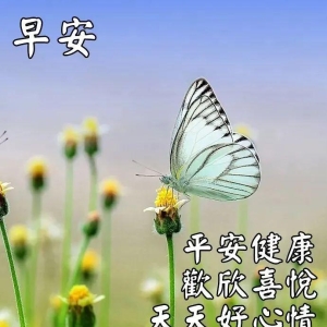 非常好看的早安问候图带祝福语，6月温馨的早上好祝福短语精选