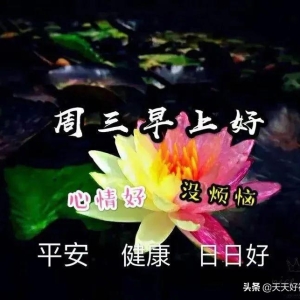 星期三微信特漂亮的早安问候图片动图 清晨最美的早上好祝福语短信