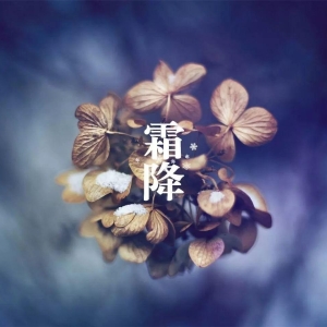 霜降温馨的问候短信