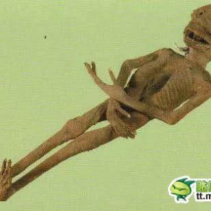 刷新三观的世界奇闻异事，震撼你的眼球！（一）