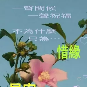 朋友圈问候大家早上好暖心祝福语短信，漂亮早上好问候语图片带字