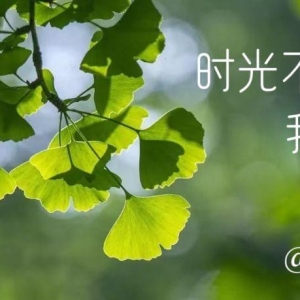 名人作家笔下怦然心动的惊艳情话
