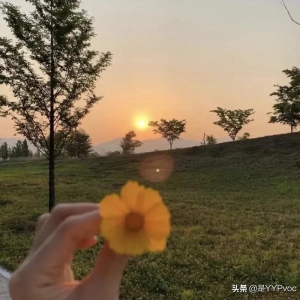 精选文摘‖“你不知道在灵魂的权衡中，什么算成功，什么算失败”