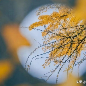 那些撩人而不尴尬的文案