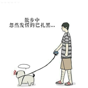 搞笑短信，看了哈哈哈大笑