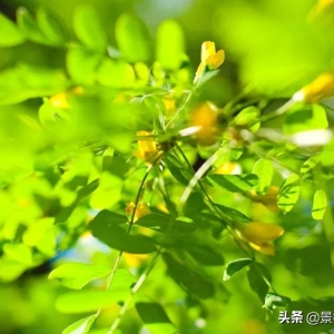 诗词丨66首惊才绝艳的古诗词，终于找全了，值得永久收藏！