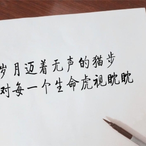 10条短句，精悍，漂亮