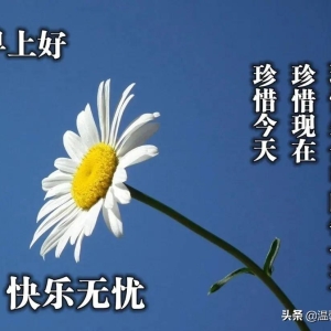 7月20日问候大家早上好快乐的早安短信祝福，早上好表情动态美图