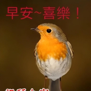 每天早上祝福语大全 早上好问候语带图片句子