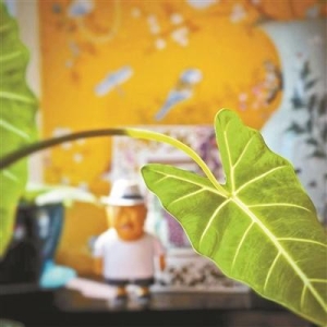 糗事，突然可爱起来