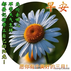 每日早上好问候语 早上好祝福图片大全