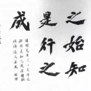 教育道理名言分享