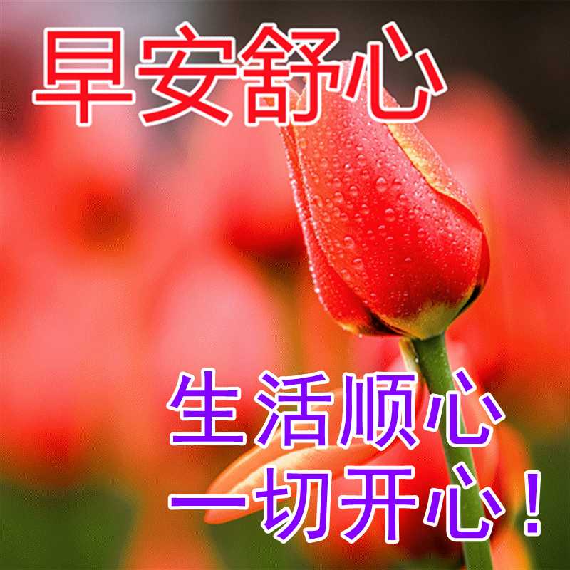 2月5日清早最暖心短信的问候祝福语 最好的早上好祝福动态美图