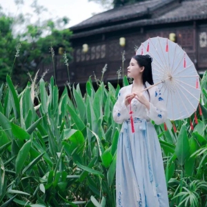中国最美的100句诗词，值得一读再读