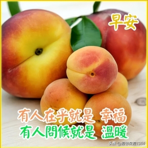 每日早上好问候语 早晨问候语句大全