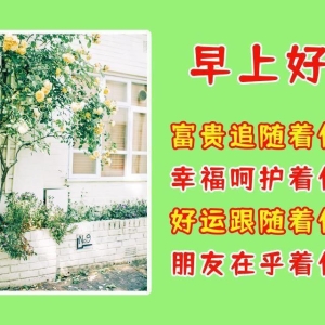 早上好祝福语，问候朋友，真情永存