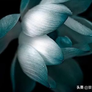 意境最美的十二首中国古诗词