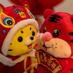 2022春节祝福短信简短10条