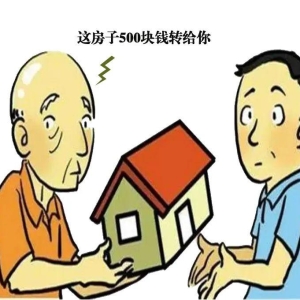 【奇闻异事】500元卖套房背后的真相