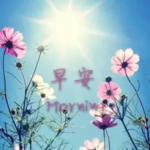 早上好问候语大全 早安祝福短信