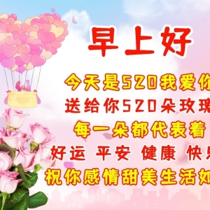 520经典祝福语，愿你爱情甜蜜 幸福快乐