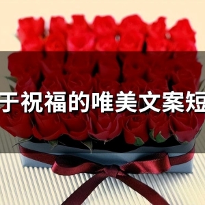 关于祝福的唯美文案短句(精选80句)