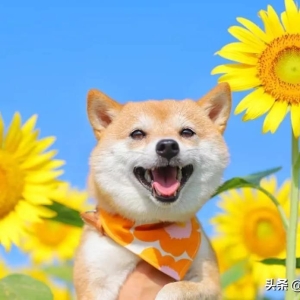 笑话十则，逗您开心一笑