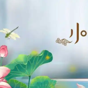 7月夏天小暑短信祝福语大全