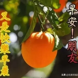清晨句句暖人心的早安问候祝福语，最美的早安祝福短信送朋友