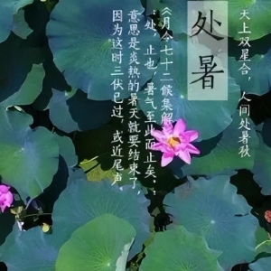 处暑微信短信问候祝福语大全