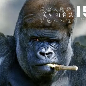 笑到泪崩的15个段子，诙谐又精辟，笑死人不偿命啊！
