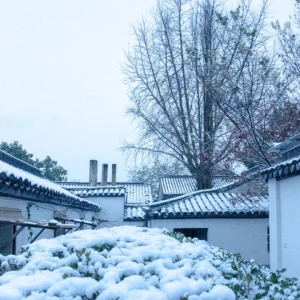 12句冬雪诗词，浪漫有情调，治愈了整个冬天
