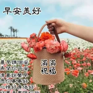 清早群发问候朋友早上好祝福表情短信，暖心早上好祝福语图片大全