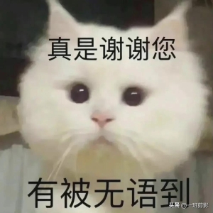 开心一刻：让人笑到肚子疼的笑话段子，治愈一天的不开心哦