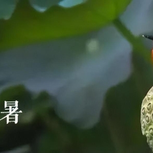 处暑节气经典微信短信祝福语