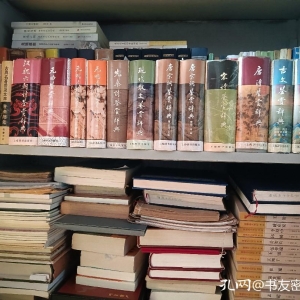 说说我的“小全集”