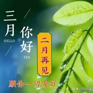 二月再见,三月你好早安快乐祝福语,早上好朋友圈说说迎接3月配图