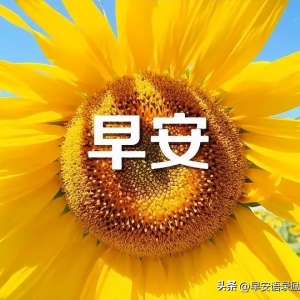 早安图片带字祝福语，微信群发问候早上好表情图片祝福语短信