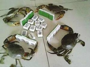 5个经典笑话，发给大家解解压