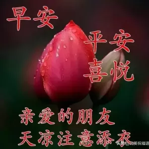 2020年漂亮的早安祝福唯美图片带字温馨 最新早上好祝福问候短信