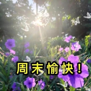 周未清晨问候大家的早上好漂亮表情图片，周未温馨祝福语短信精选