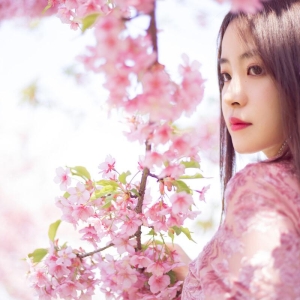 情感故事：到南京出差，樱花树下，与高冷女上司的一场浪漫情缘